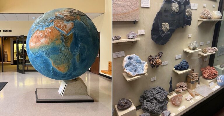 This Wisconsin Museum Takes Visitors Back To A Time When Jellyfish Swam Over The State