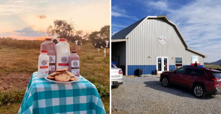 This Tennessee Family Dairy Near Knoxville Is Where Locals Go For Fresh Milk Every Saturday