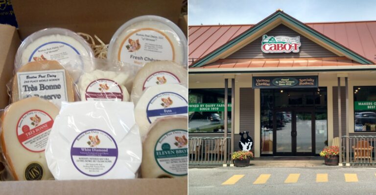 We Found 9 Vermont Cheese Shops That Are Worth The Drive, And These Made The Cut