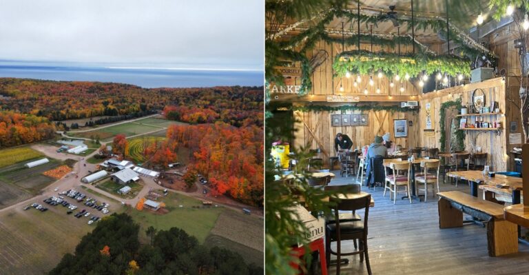 This Northern Michigan Farm Market Is A Halloween Season Favorite For Cider And Donuts