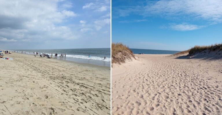 Take A Delaware State Park Trip Where Shark Sightings And Scarce Parking Add To The Adventure
