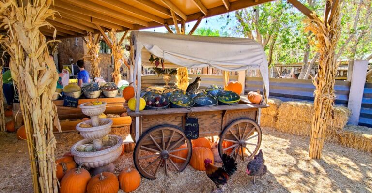 This Cozy Nevada Farm Stand Turns A Quick Stop Into A Race For Fresh Pies And Seasonal Favorites