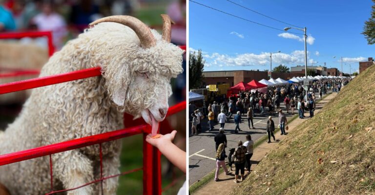 This Historic North Carolina Town Hosts An Enormous Open-Air Market For One Saturday Every October