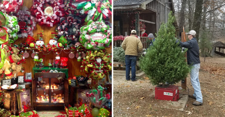Mississippi Has A Christmas Tree Farm Where Kids Cut Their Own Tree And Ride A Hay Wagon Home