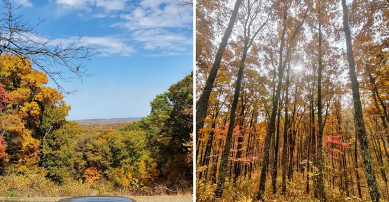 Late October Turns Brown County State Park Into The Most Colorful Place In Indiana