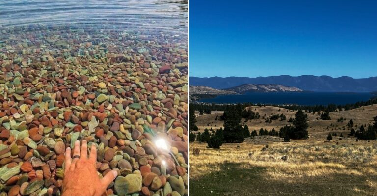 You Can Count Rocks 20 Feet Down At This Unusually Clear Montana Lake This Summer