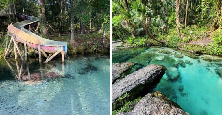9 Secret Florida Springs That Feel Like Waterparks Hidden Deep In The Woods