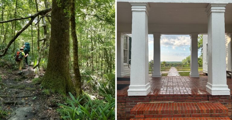 This Quiet Florida State Park Feels Almost Completely Forgotten