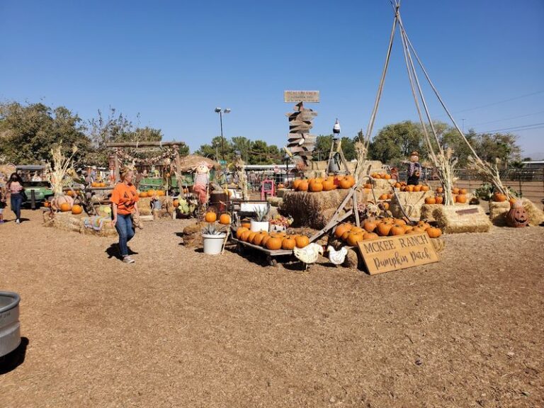 Pumpkin Patches Across Nevada Fill October Weekends With Corn Mazes For These 8 Farms