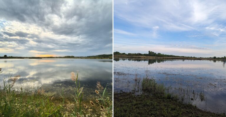 This Quiet Illinois Marsh Is A Hidden Spot For Watching Bald Eagles In Winter