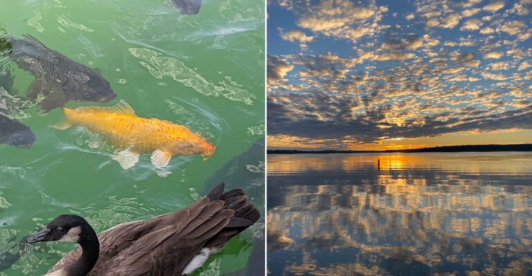 11 Missouri Lake Spots With Stunningly Clear Water Worth The Drive This Fall