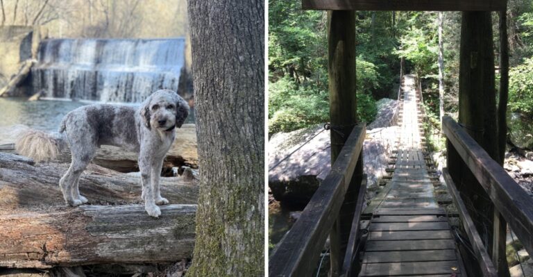 This Tennessee Hiking Trail Has A Waterfall, Suspension Bridge And Breathtaking River Views