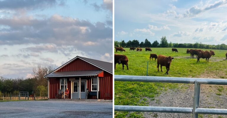 This Tennessee Farm Store Sells Grass-Fed Beef, Fresh Eggs And Foods Raised Right On The Property