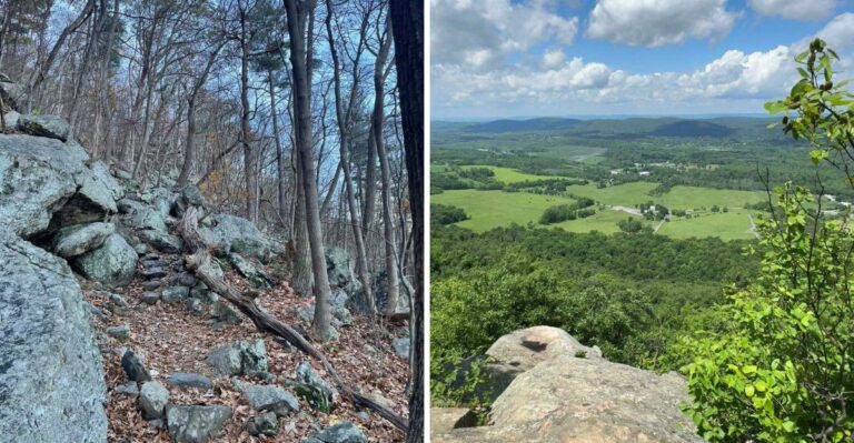 This Gorgeous New Jersey Trail Comes With A Serious Bear Warning Every Fall