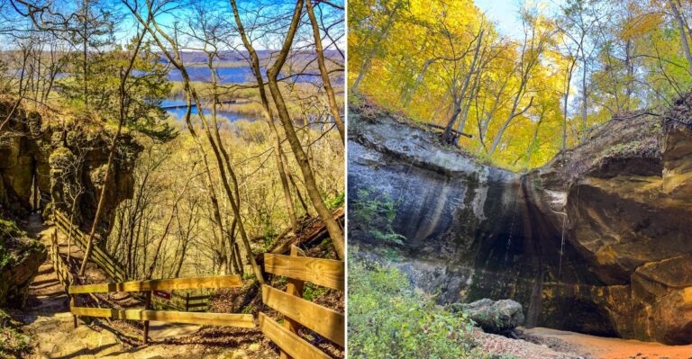 This Wisconsin Maple Forest Trail Turns Brilliant Orange And Gold During Fall’s Most Colorful Weeks
