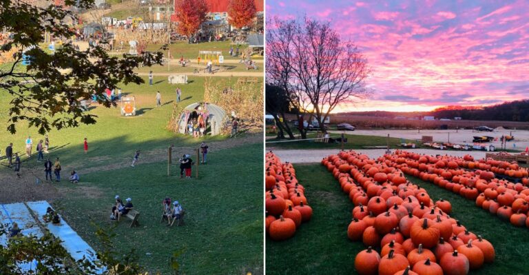 This Wisconsin Wagon Ride Winds Through Glowing Fall Foliage And Is Pure Magic