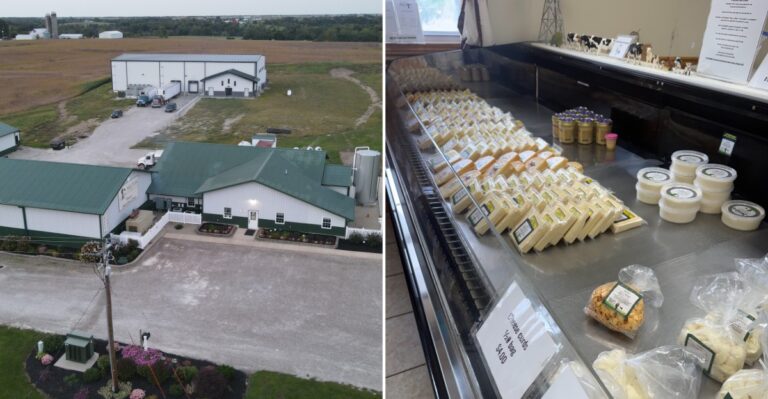 This Rustic Iowa Cheese Shop Stocks Unique Cheese Varieties You Won’t Find Elsewhere