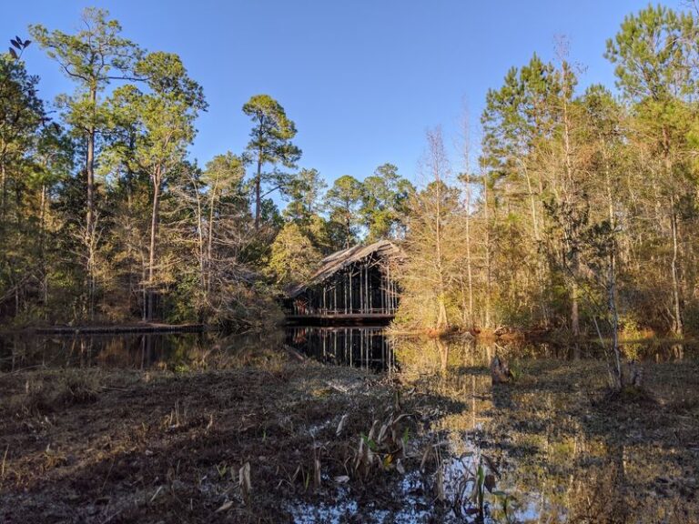 The 9 Mississippi Nature Centers Where $10 Buys A Full Day Of Exploring