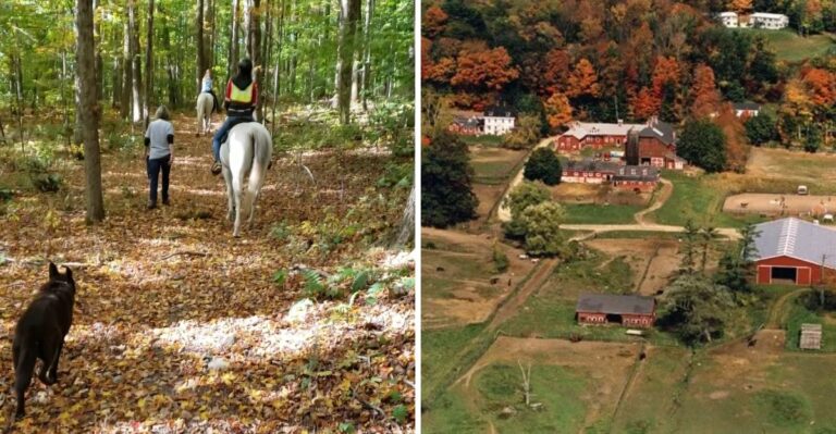6 Massachusetts Places Where You Can Enjoy A Scenic Fall Horseback Ride With No Experience Needed