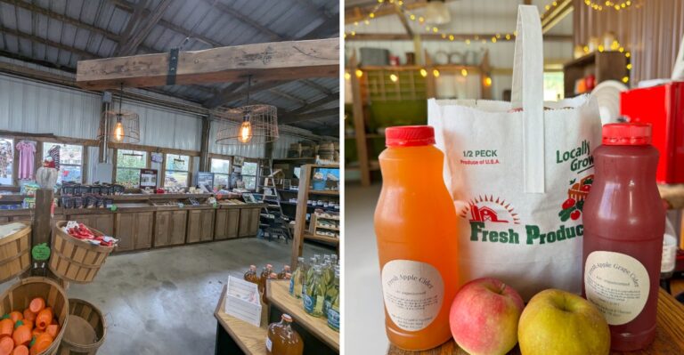 We Ranked 9 Tennessee Orchards And Farm Markets Serving Apple Treats And Here Are The Results