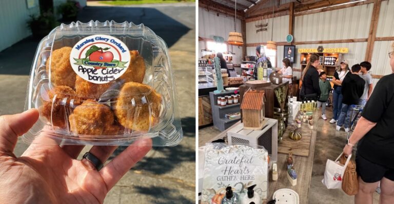 People Arrive Early For The Fresh Apple Cider Donuts At This Tennessee Farm
