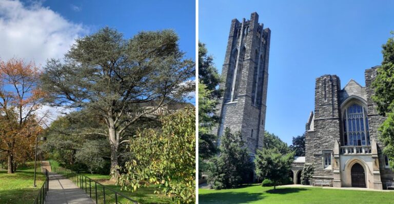 This Tiny Pennsylvania College Offers Loan-Free Aid And Ranks Among The Best In America