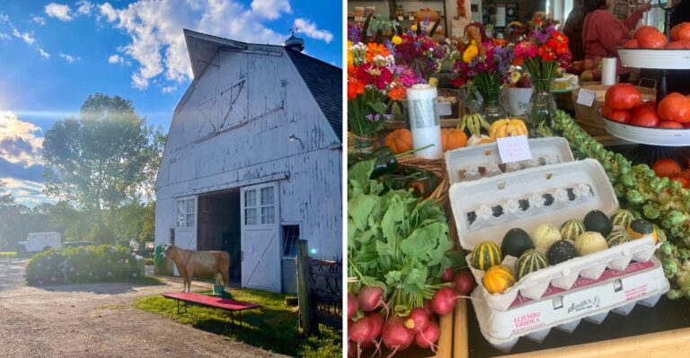 These 9 Connecticut Farms Sell Farm-Fresh Foods You Won’t Find At Your Average Supermarket