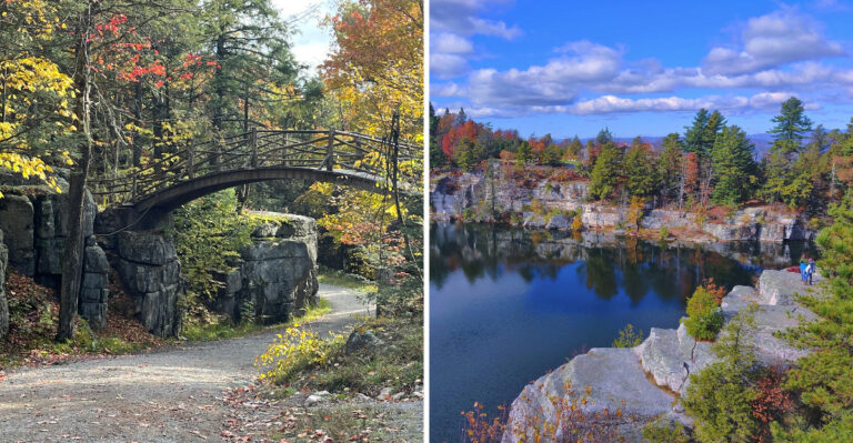 The Upstate State Park Where Locals Have Known To Watch For Rattlesnakes For Generations