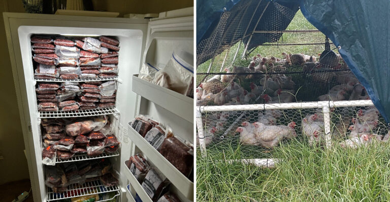 Families Drive Out To This Mississippi Farm To Pick Up Grass-Fed Beef And Pasture-Raised Chicken Straight From Its Fields