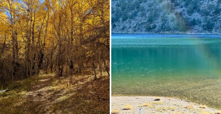 Crisp Air And Golden Leaves: Why September Is The Best Time To Visit This Nevada Park