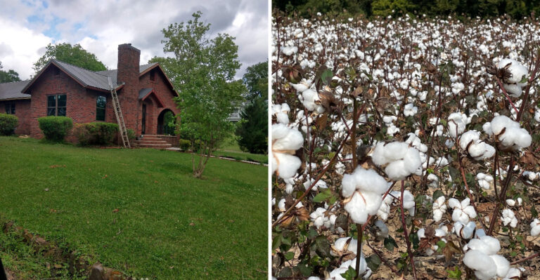 This Mississippi Railroad Town Still Has A 1905 Soda Fountain, A Free Train Museum, And Antique Shops