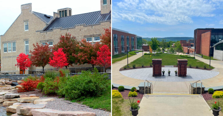 The 8 New York Colleges Offering Free Tuition To Families Earning Up To $125,000