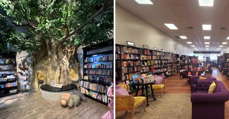 10 Cozy Massachusetts Bookstores Made For Rainy Afternoons And Slow Browsing