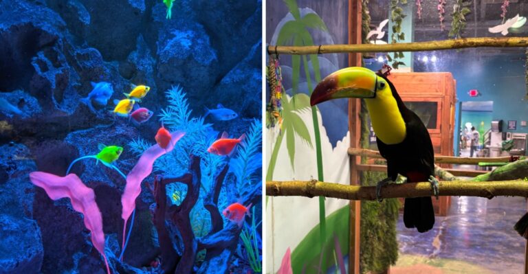 This Huge Nevada Aquarium Is A Hidden Gem In The Desert