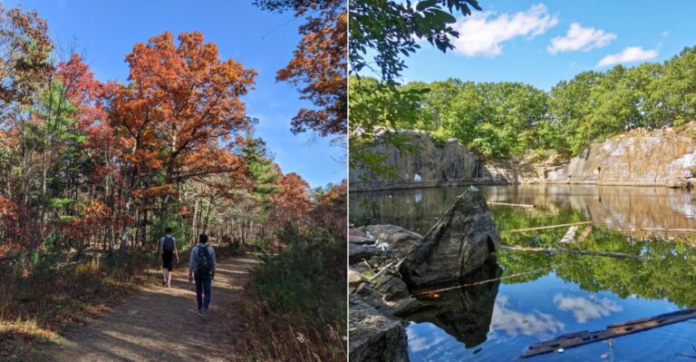 This Massive Massachusetts State Park Is Home To Rattlesnakes So Visitors Know To Watch Their Step