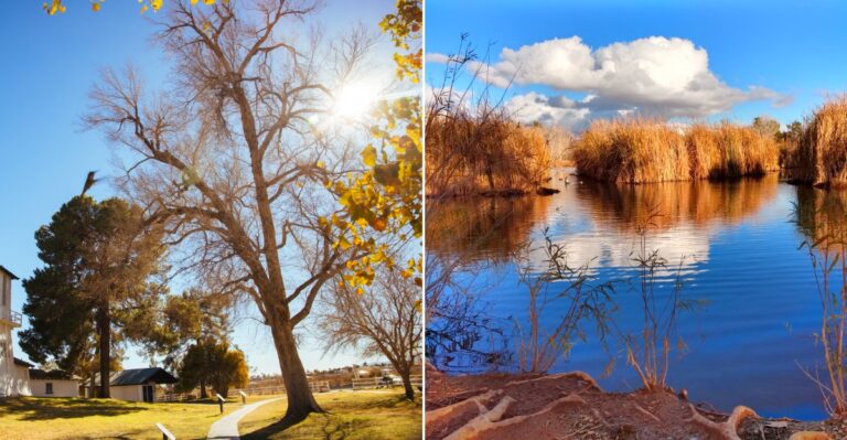 This Peaceful Southern Nevada Park Turns Into An Unexpected Desert Escape Each Fall