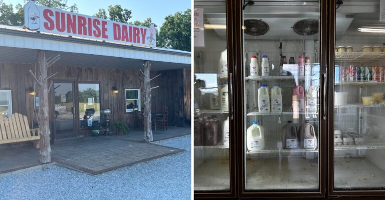 This Tennessee Dairy Farm Still Sells Fresh Milk In Old-Fashioned Glass Bottles