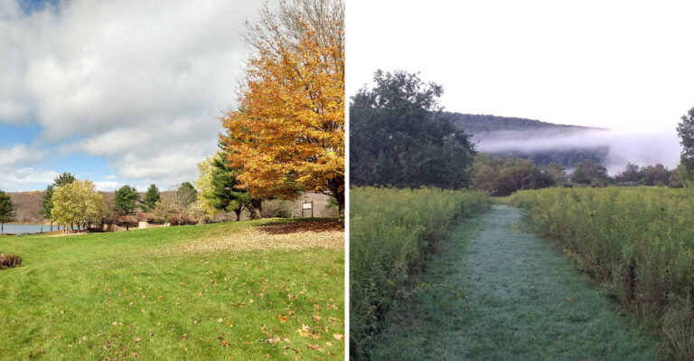 The 1,385 Acre New York State Park That Stays Empty Even At Peak Fall Color