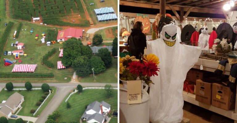 This Tennessee Corn Maze Has A Seriously Spooky Surprise Waiting After Dark