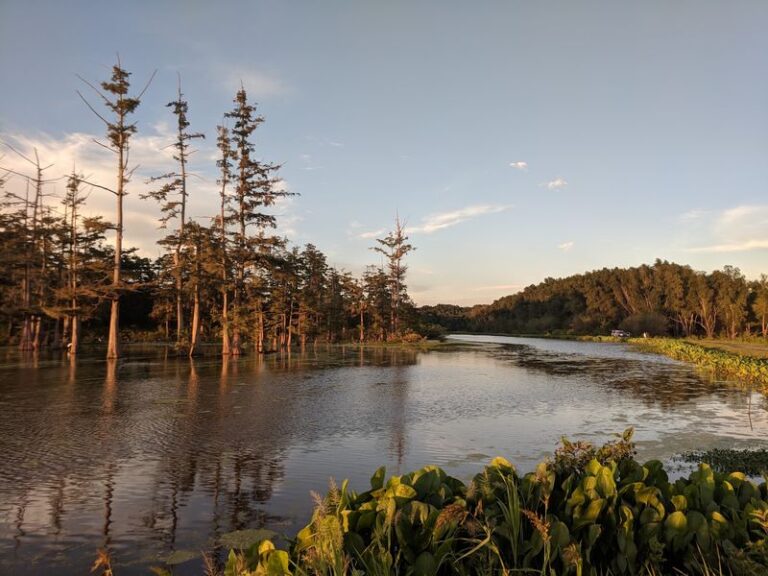 6 Mississippi Wildlife Refuges Where Families Watch Thousands Of Ducks Arrive For Winter