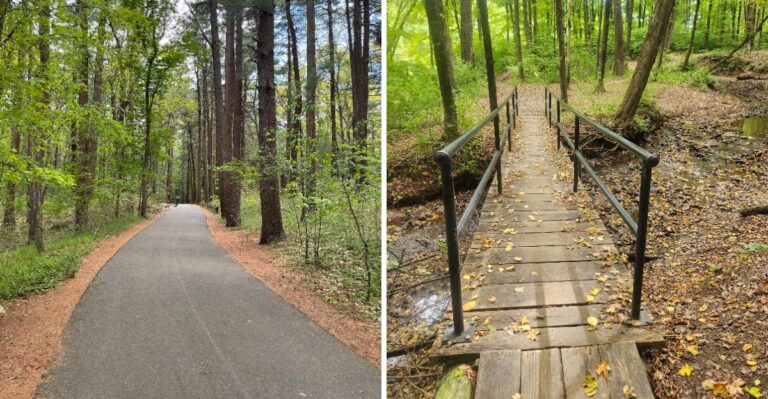 12 Beautiful Massachusetts Parks With Easy Walking Trails Worth Exploring This Weekend