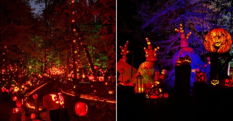 This Kentucky City Lights Up Thousands Of Pumpkins For A Halloween Spectacle