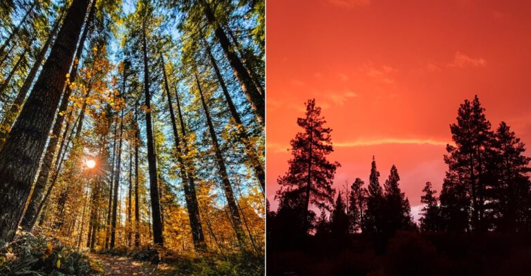 10 Oregon State Parks That Offer A Quiet Escape During Peak Fall Foliage