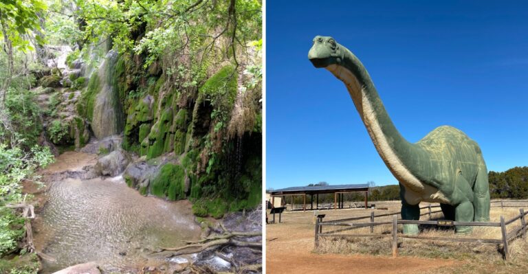 8 Quiet Texas State Parks With Snake Populations So Big Locals Watch Every Step