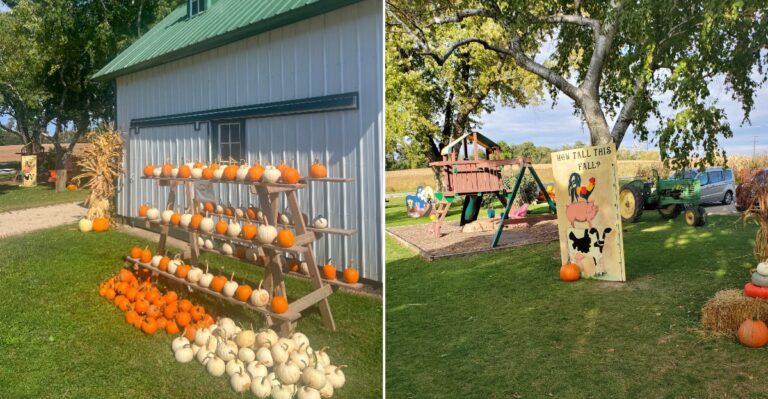 This Small-Town Wisconsin Pumpkin Patch Turns A Fall Afternoon Into An Easy Tradition