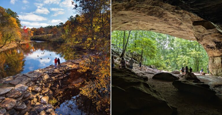 This Huge Arkansas State Park Has A Native Copperhead Population, So Locals Know To Watch Their Step