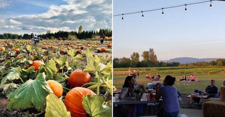 This Award-Winning Washington Apple Orchard Is Worth Planning Your Next Fall Trip Around
