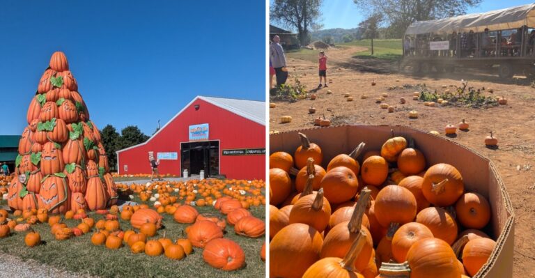 10 Tennessee Pumpkin Patches That Make A Perfect Fall Day Trip