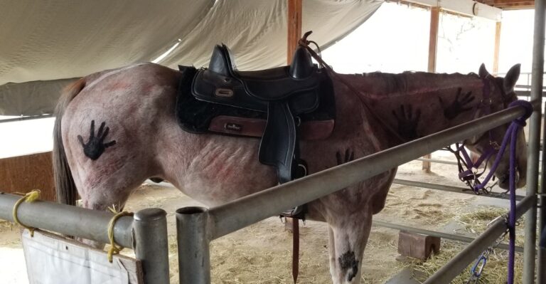 This Nevada Ranch With A Belgian Draft Horse Takes Kids On Desert Trail Ride Lessons