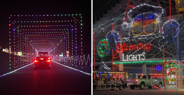 This Nevada Light Display In Las Vegas Opens In Time For The Holiday Season